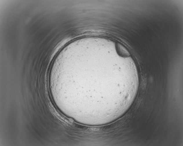 X0000085011283200704021350