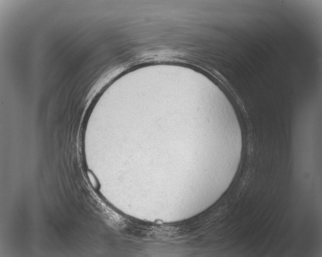 X0000085011285200704021350