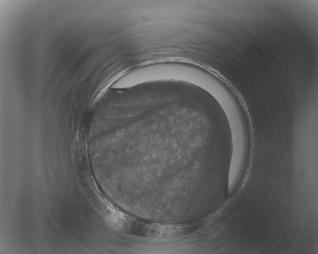 X0000085011289200704021350