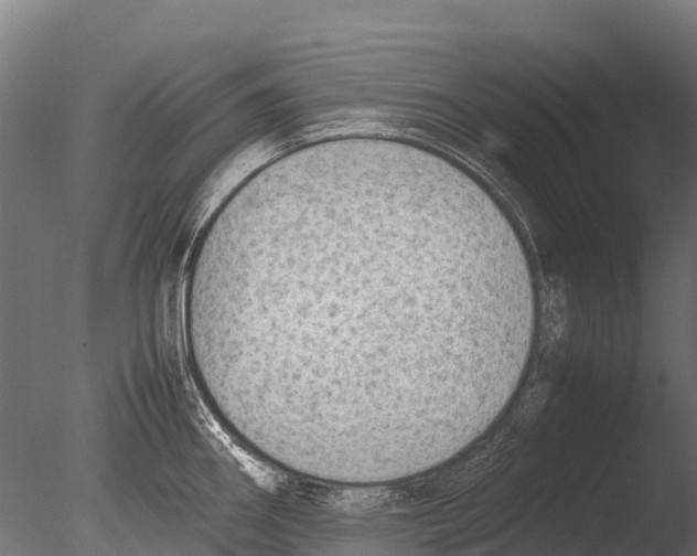 X0000085011290200704021350