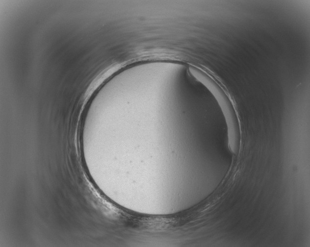 X0000085011293200704021350