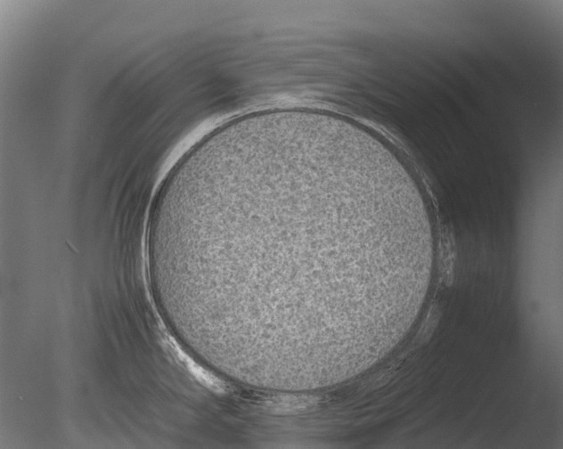 X0000085011294200704021350