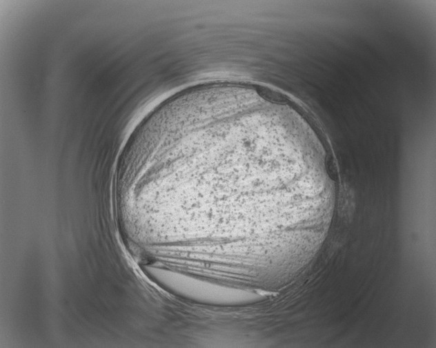 X0000085011295200704021350