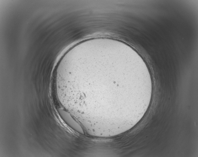 X0000085011296200704021350