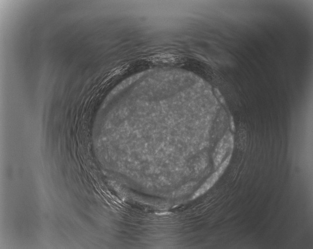 X0000085011297200704021349