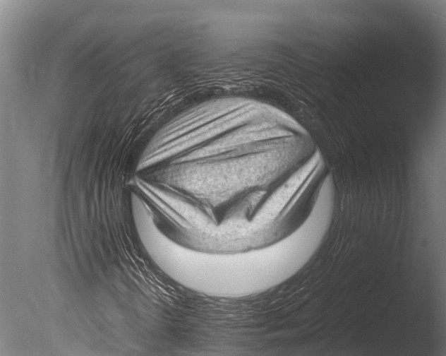 X0000085011298200704021349