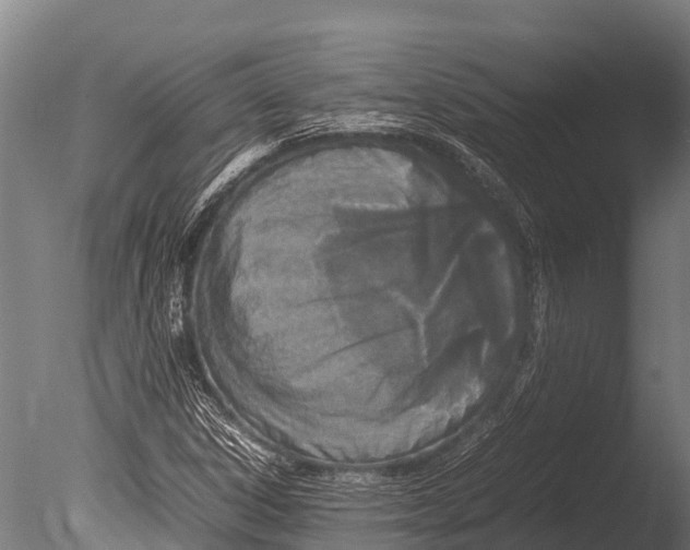 X0000085011306200704021349