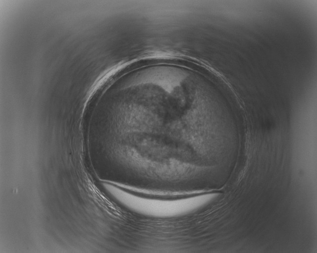 X0000085011319200704021350