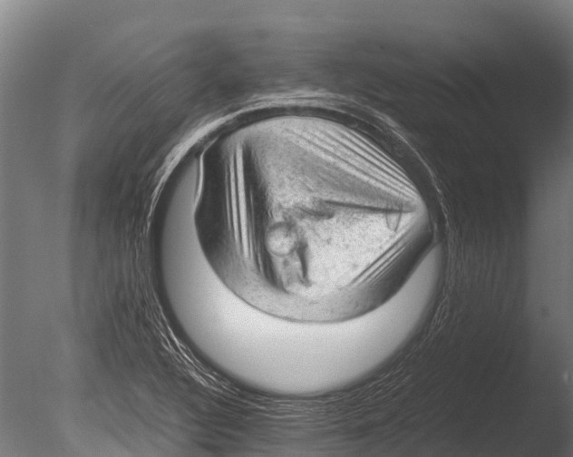 X0000085011320200704021350