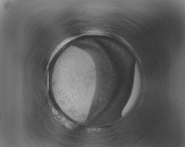 X0000085011323200704021350