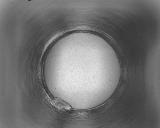 X0000085011326200704021350