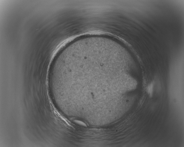 X0000085011327200704021350