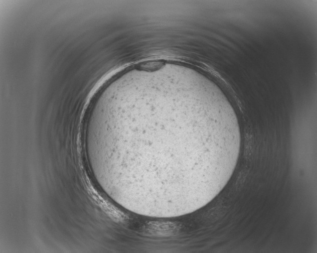 X0000085011331200704021350