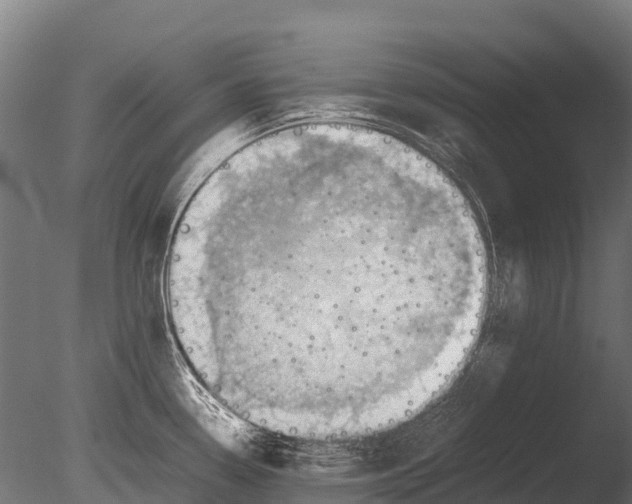 X0000085011338200704021350