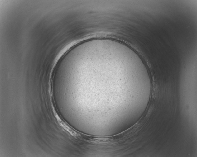 X0000085011342200704021350