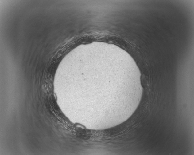 X0000085011349200704021349