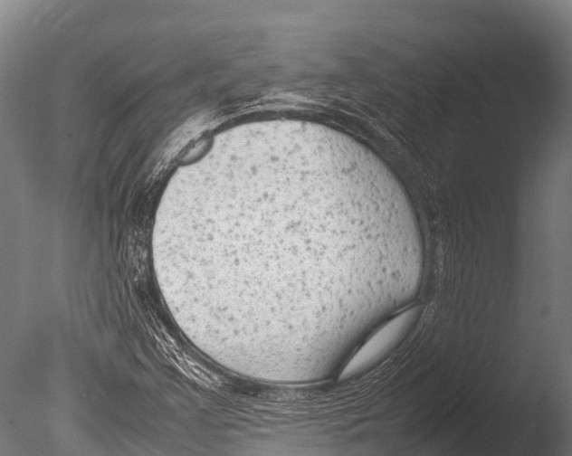 X0000085011355200704021349