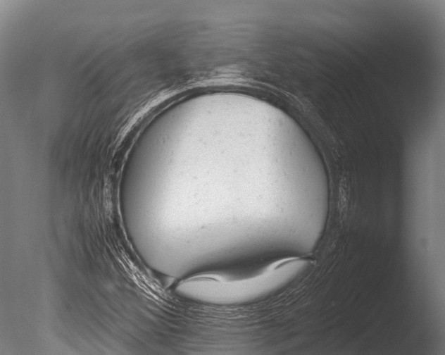 X0000085011356200704021349