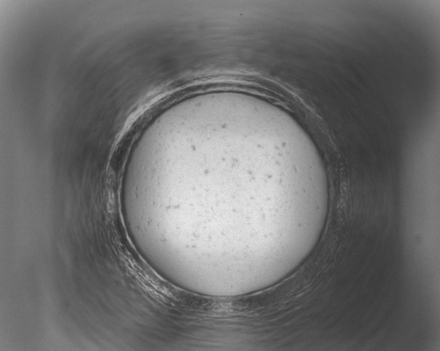 X0000085011360200704021349