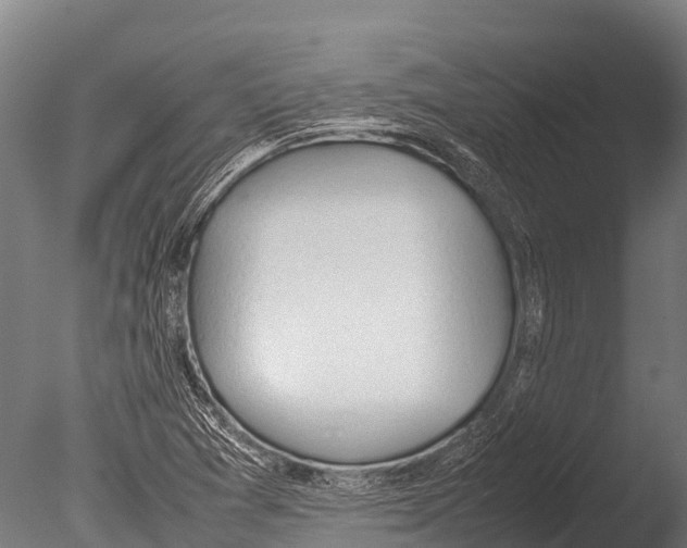 X0000085011361200704021349