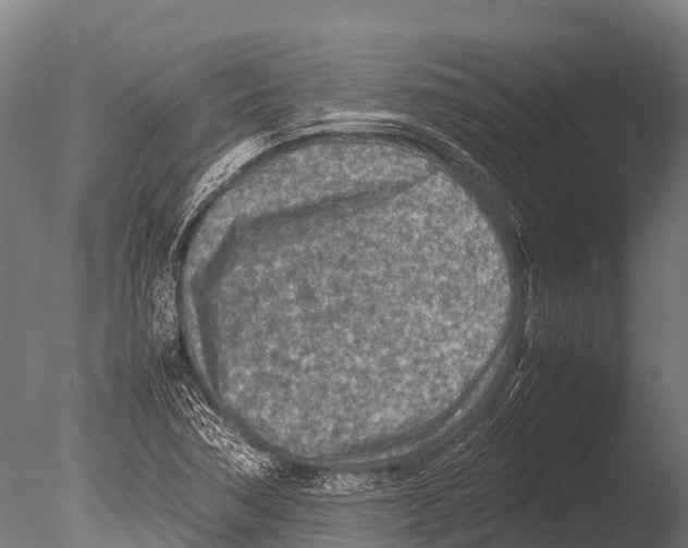 X0000085011362200704021349