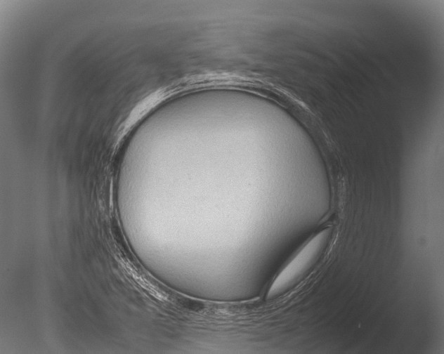 X0000085011365200704021349