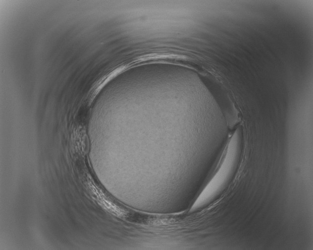 X0000085011369200704021349