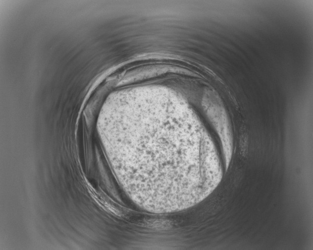 X0000085011372200704021349