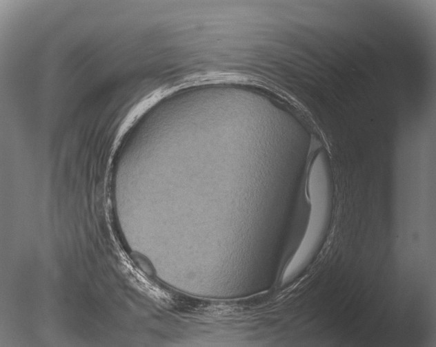 X0000085011373200704021349