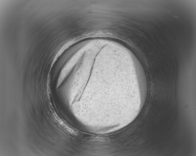 X0000085011374200704021349