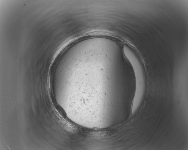 X0000085011376200704021349