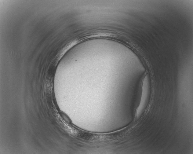 X0000085011377200704021349