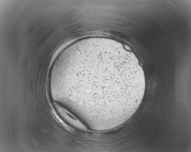 X0000085011379200704021349