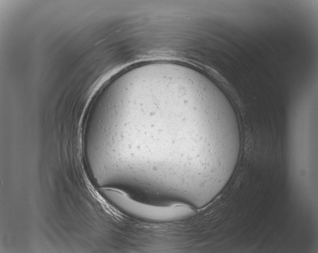 X0000085011380200704021349