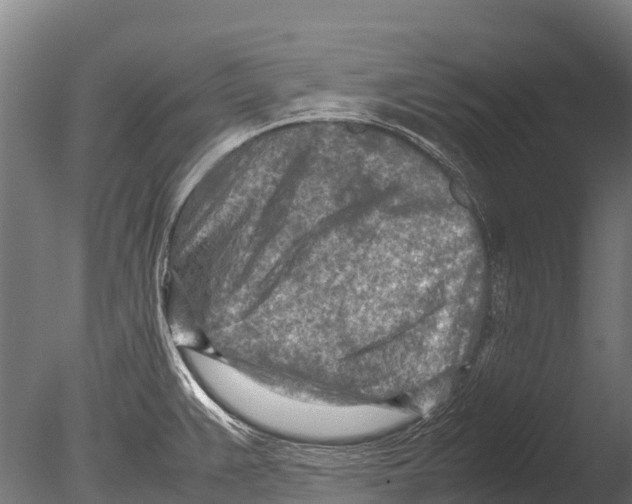 X0000085011383200704021349