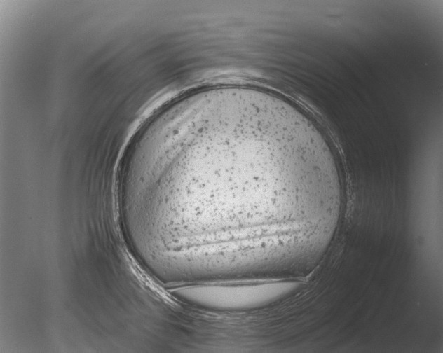 X0000085011384200704021349