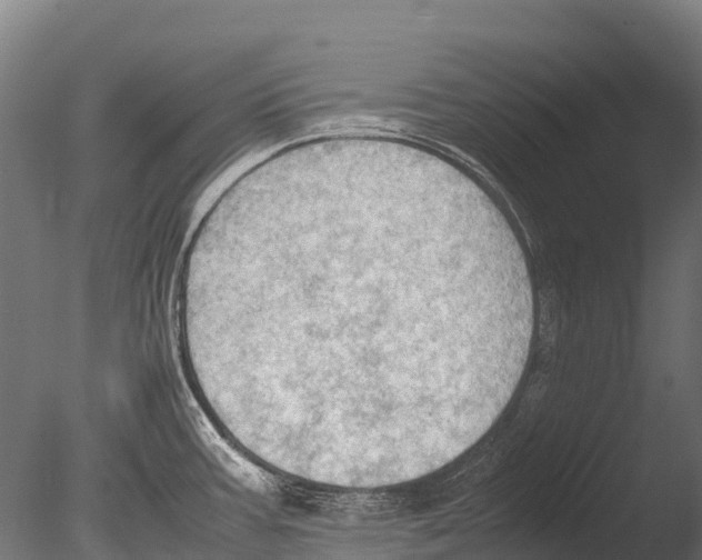 X0000085011387200704021349