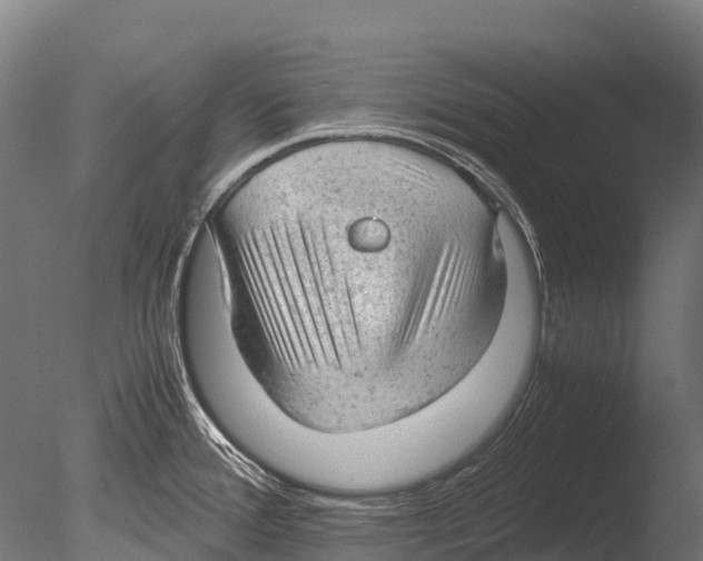 X0000085011388200704021349