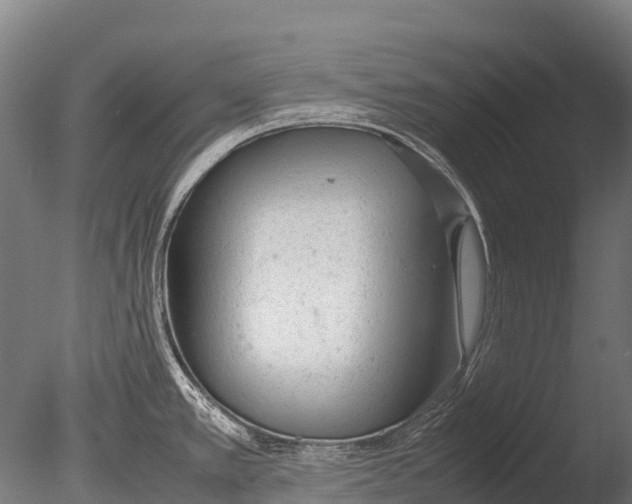 X0000085011389200704021348