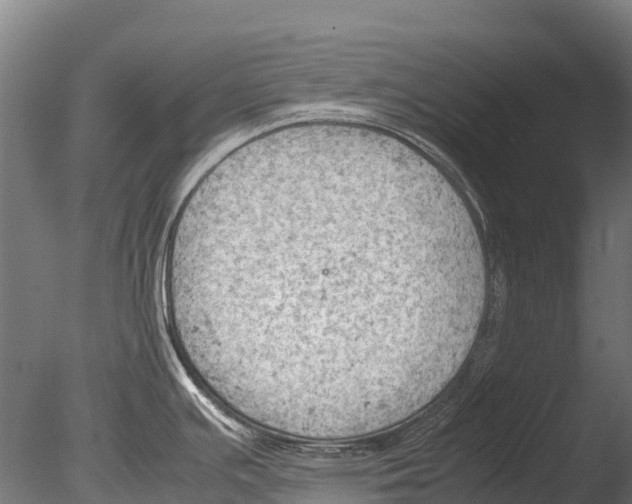 X0000085011391200704021348