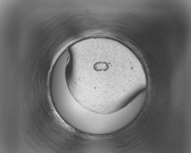 X0000085011392200704021348