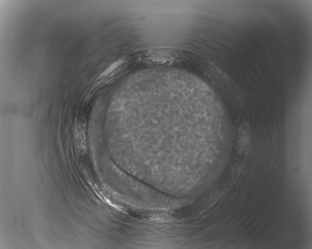 X0000085011394200704021348