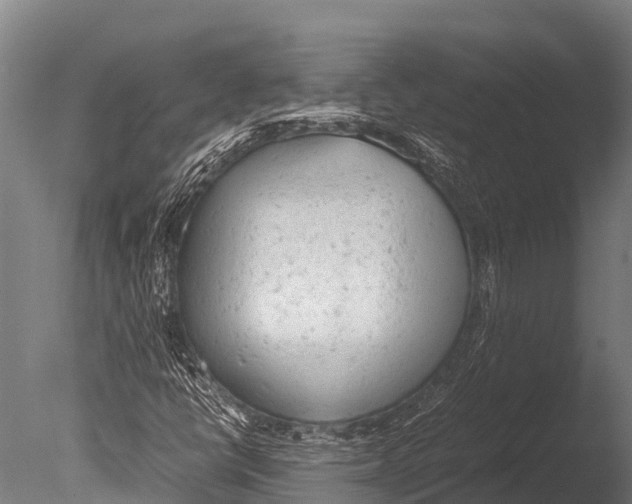 X0000085011398200704021348