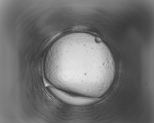 X0000085011401200704021348