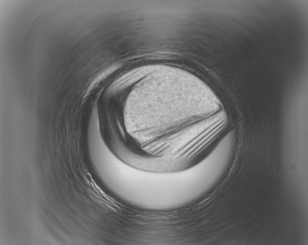 X0000085011402200704021348