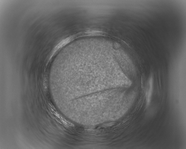 X0000085011405200704021348