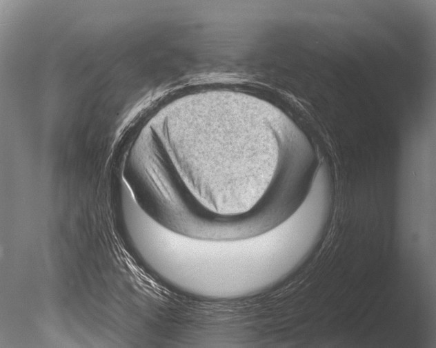 X0000085011406200704021348