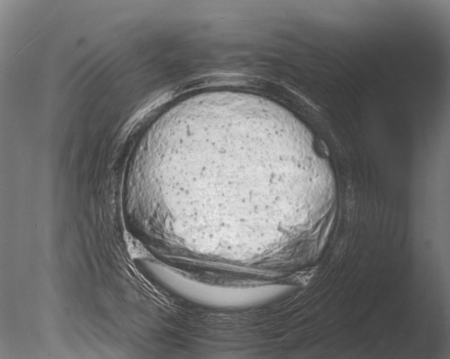 X0000085011411200704021348