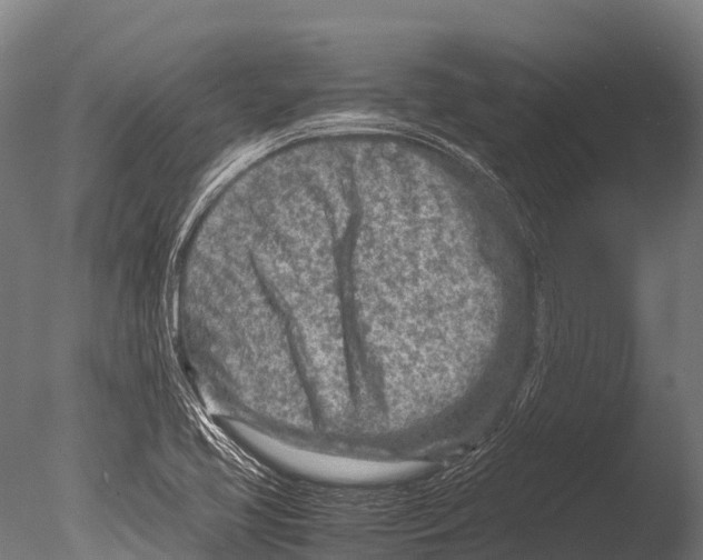 X0000085011413200704021348