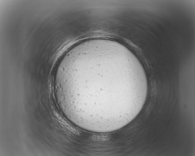 X0000085011415200704021348